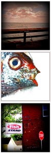 {Aamora Project Triptych - Fish Head by Gail Anderson, Jason Platt & Jolie Buchanan}
