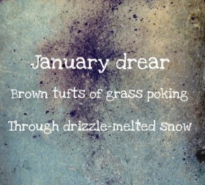 {January Drear by Amy E Thompson & Jolie Buchanan}