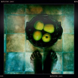 Aamora: Project iPhoneography 