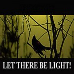 Let There Be Light!
