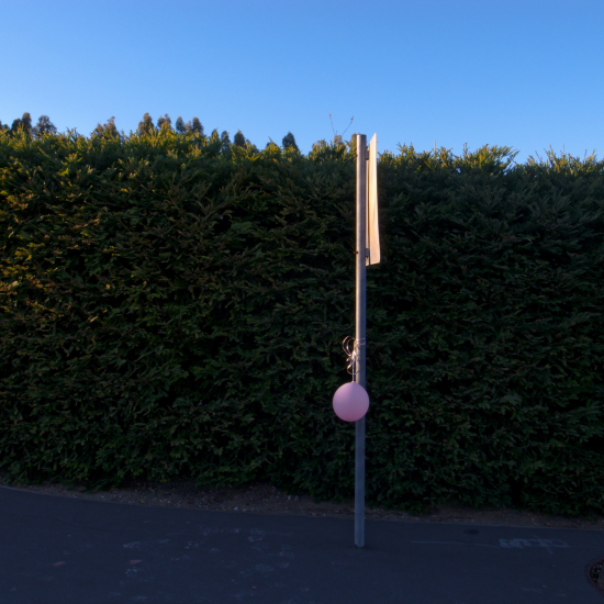 11-29-09 (Pink Balloon, 4-53PM)(2)
