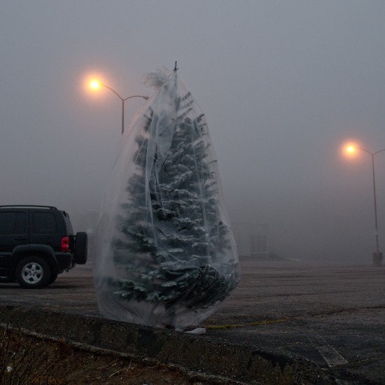 12-1-09 (Christmas tree, Rockaway Beach Ca)(2)