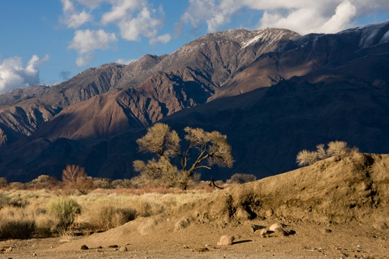 Hwy 395 Near Grant, Ca 550