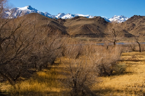 Lake Diaz, Ca 550