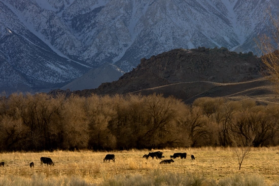 Near Lone Pine, Ca 550