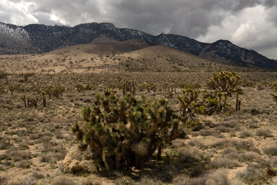 Route 178 Near Ridgecrest, Ca 550