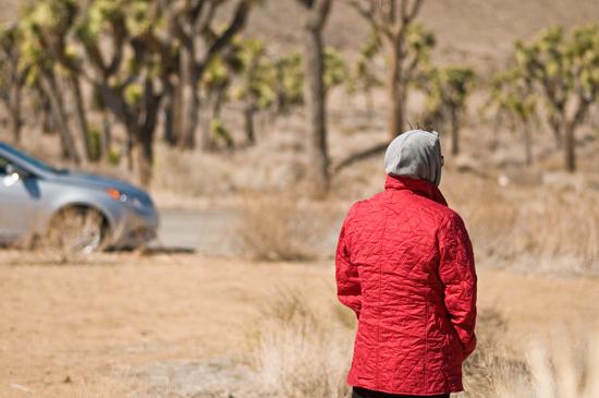 MichaelVan_der_Tol-Seeing_Red_in_Joshua_Tree-seeing_red_in_joshua_tree_no._1