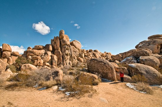 MichaelVan_der_Tol-Seeing_Red_in_Joshua_Tree-seeing_red_in_joshua_tree_no._5
