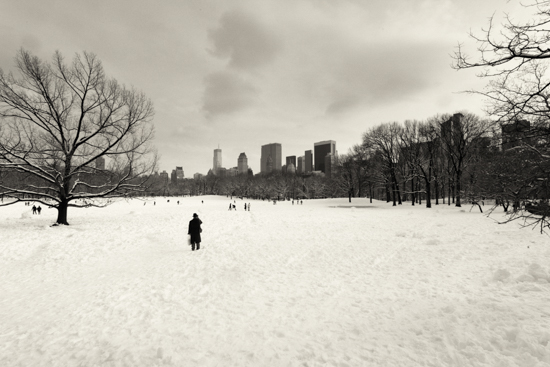 Sheep's meadow