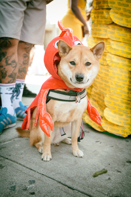 mermaid parade 2016-5